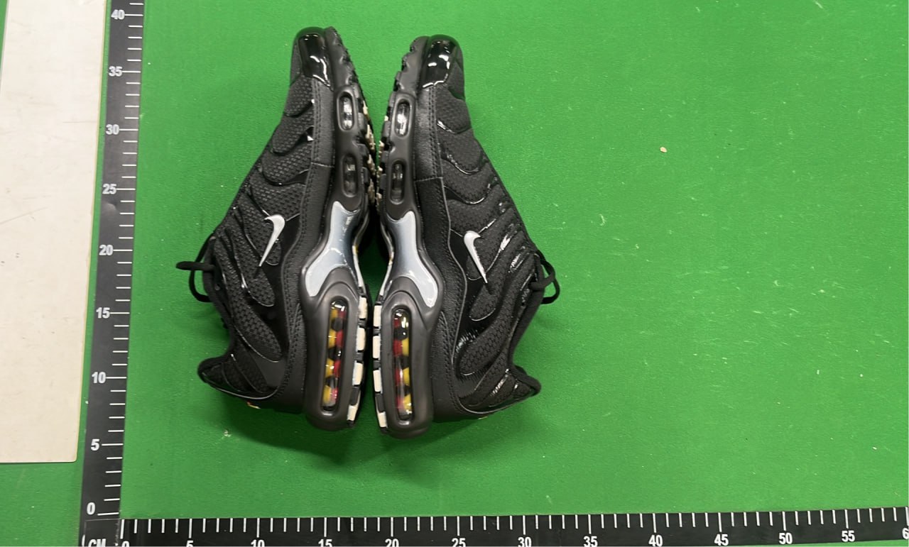  TN  Batch  NIKE Air Max Plus -4